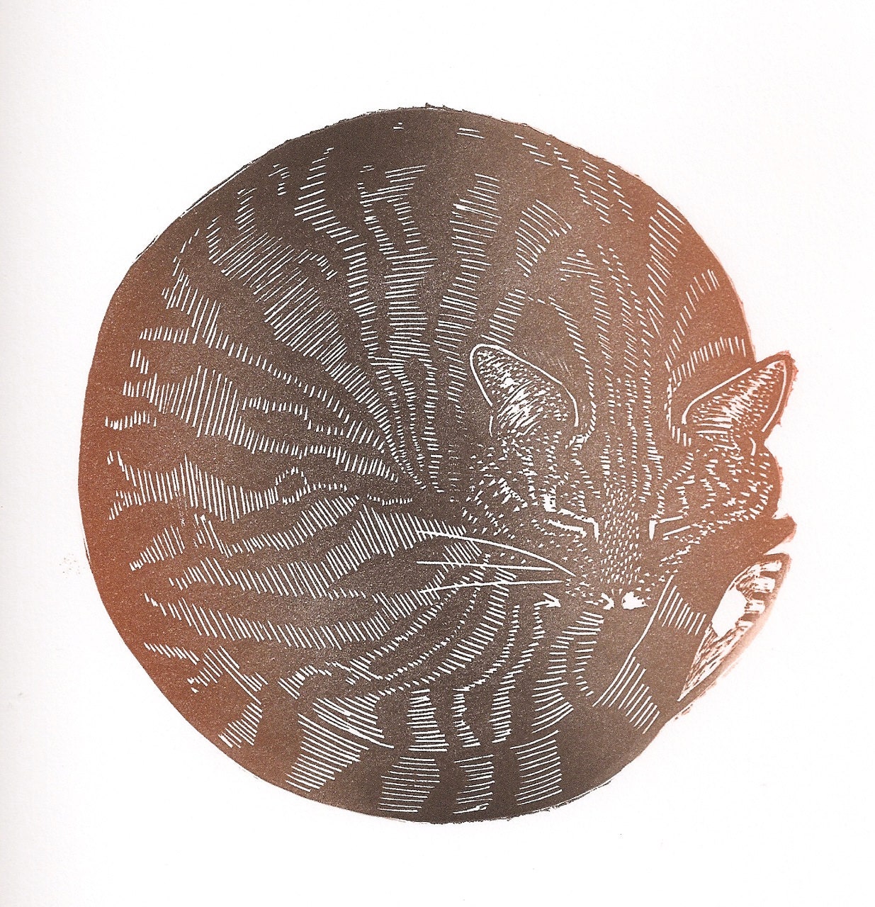 Hand pulled, limited edition linocut print of sleeping tabby cat