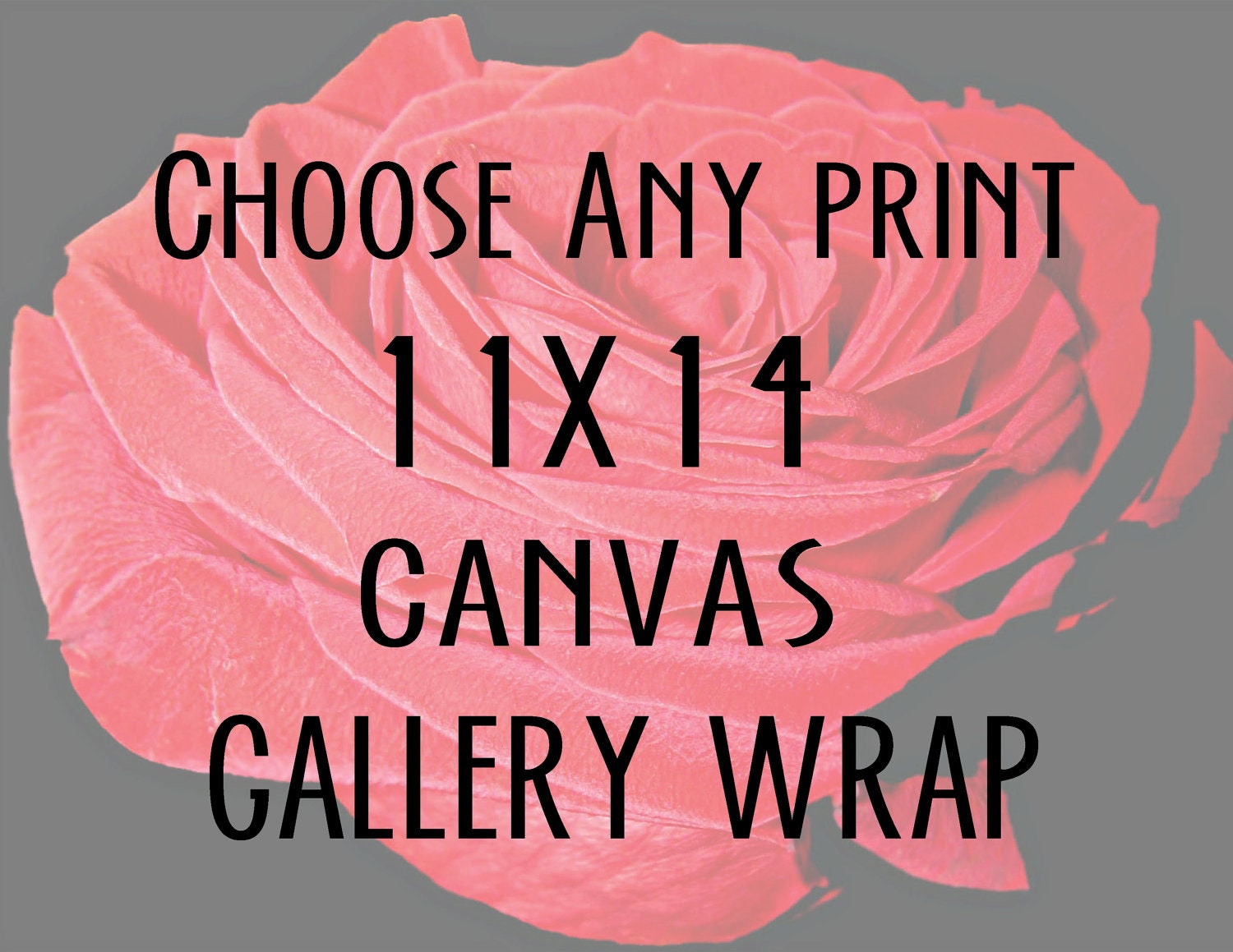 Decor - Choose Any Print 11x14 Canvas Gallery Wrap - Photography, Home Decor, fPOE, Typography, Quotes, Nature Photography, Black and White