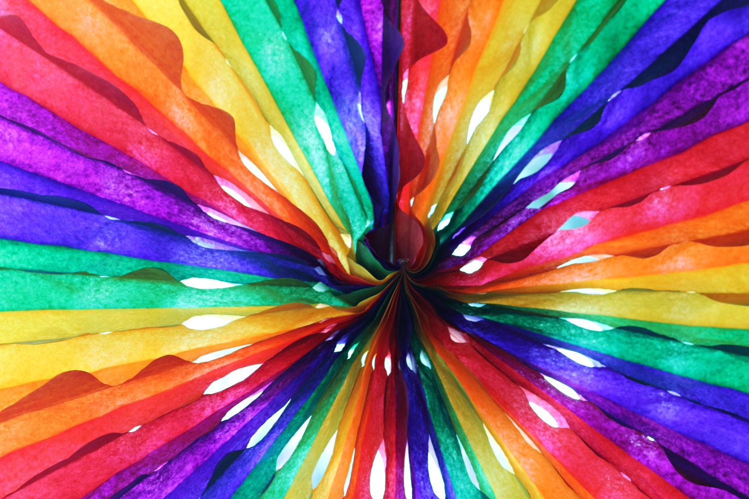 Rainbow Party Fans Il_570xn