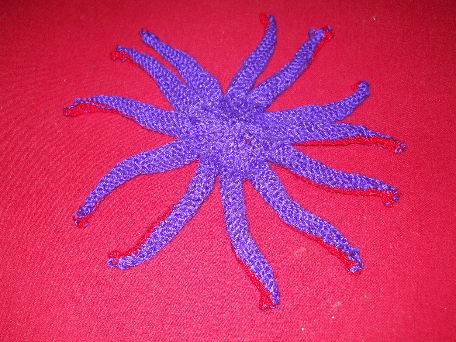 Sunstar