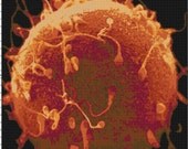 Fertilization Handmade PDF Cross-Stitch Pattern
