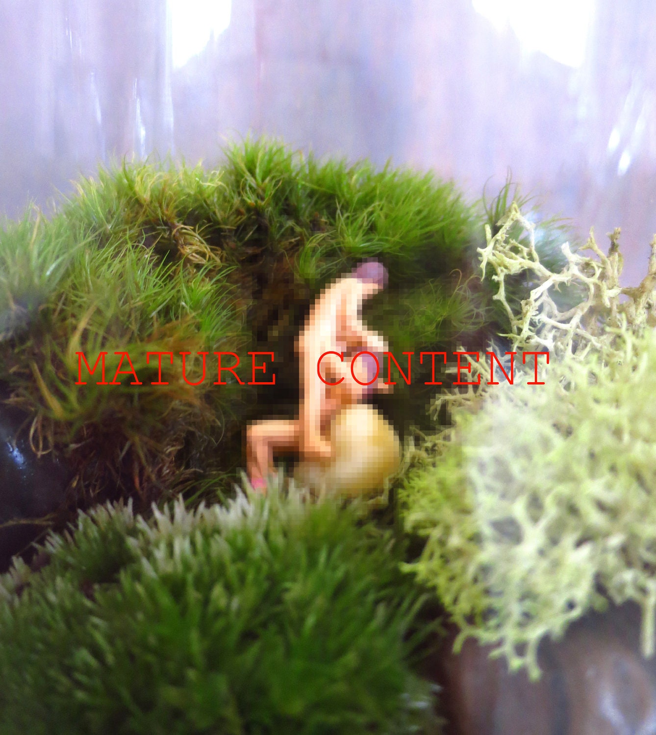 No, Don't Worry, No One Can See Us...MATURE CONTENT Terrarium People Funny Miniature Tiny Naked Couple Sexy Terrarium Accessory Funny Gift