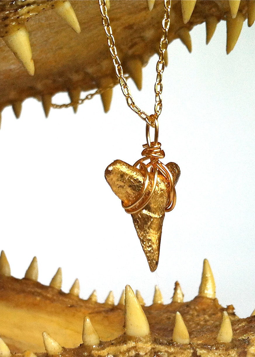 LILITH shark tooth necklace - gold leafed fossil, 14k gold chain, minimalist modern tribal beach