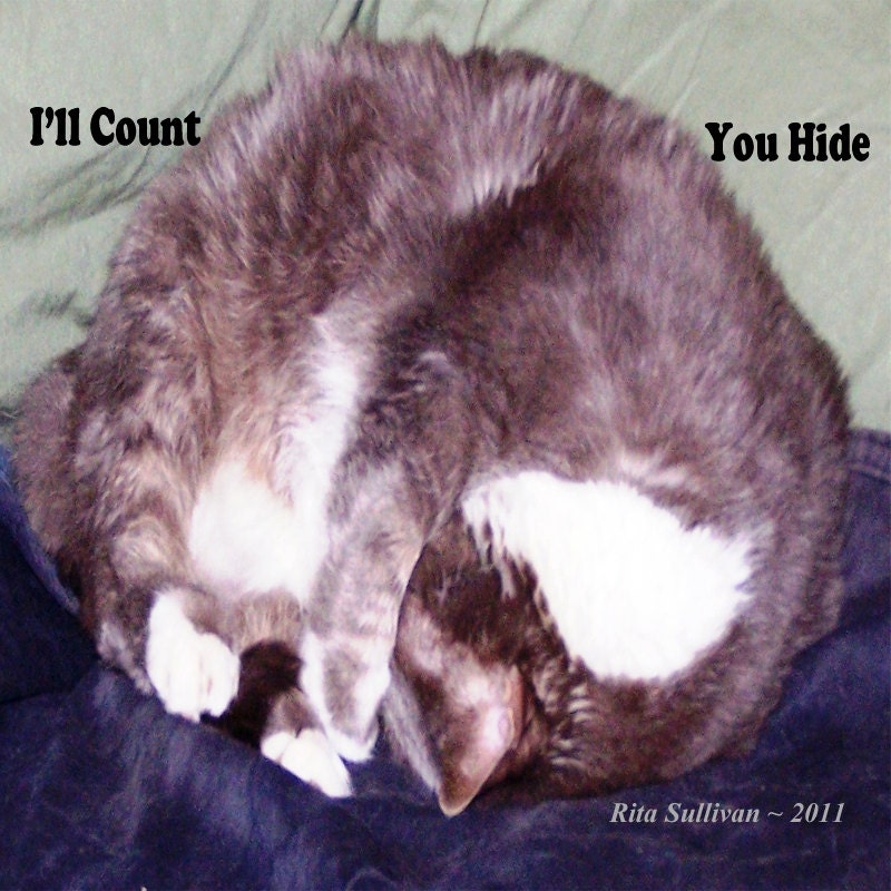 CAT Plays Hind Go Seek Game - 5x7 Photo Print- Gray - White-Blue - Green - CreativeXpression1