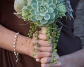 Custom Medium Succulent Bouquets