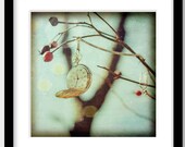 20% SALE - Nature Photographys "It's about time" 12x12