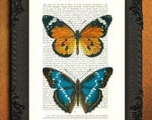 Colorful Butterflies art print - upcycled French dictionary art print - Mixed media book page print