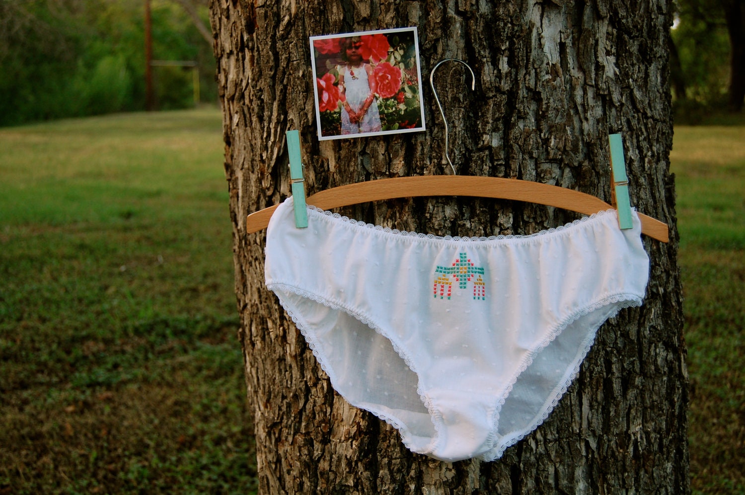 Mesa Embroidered Briefs in White Dotted Swiss