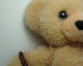 Teddy Bear Bracelet