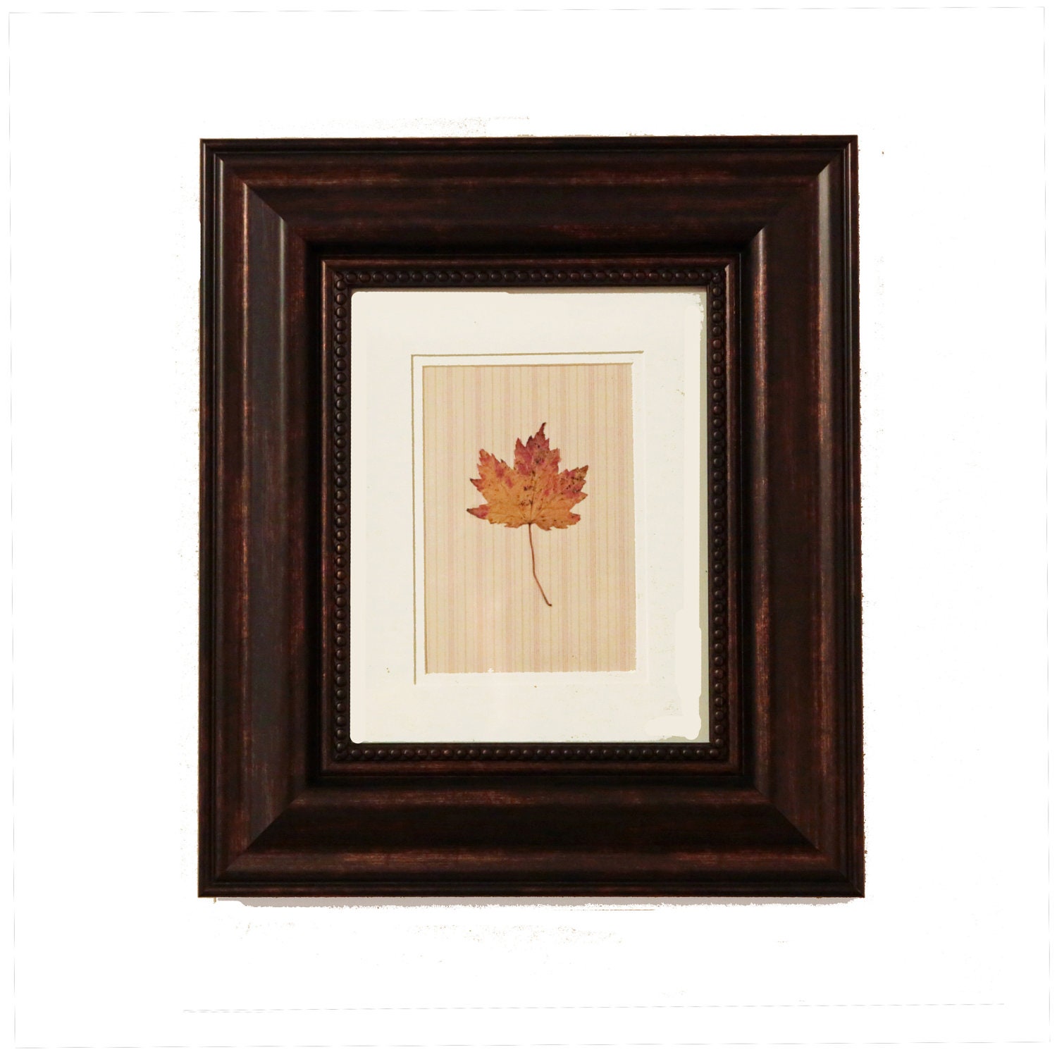Framed Fall Leaf Pressed Leaves  Autumn Wall Decor Thanksgiving Decor - FoundationCreations