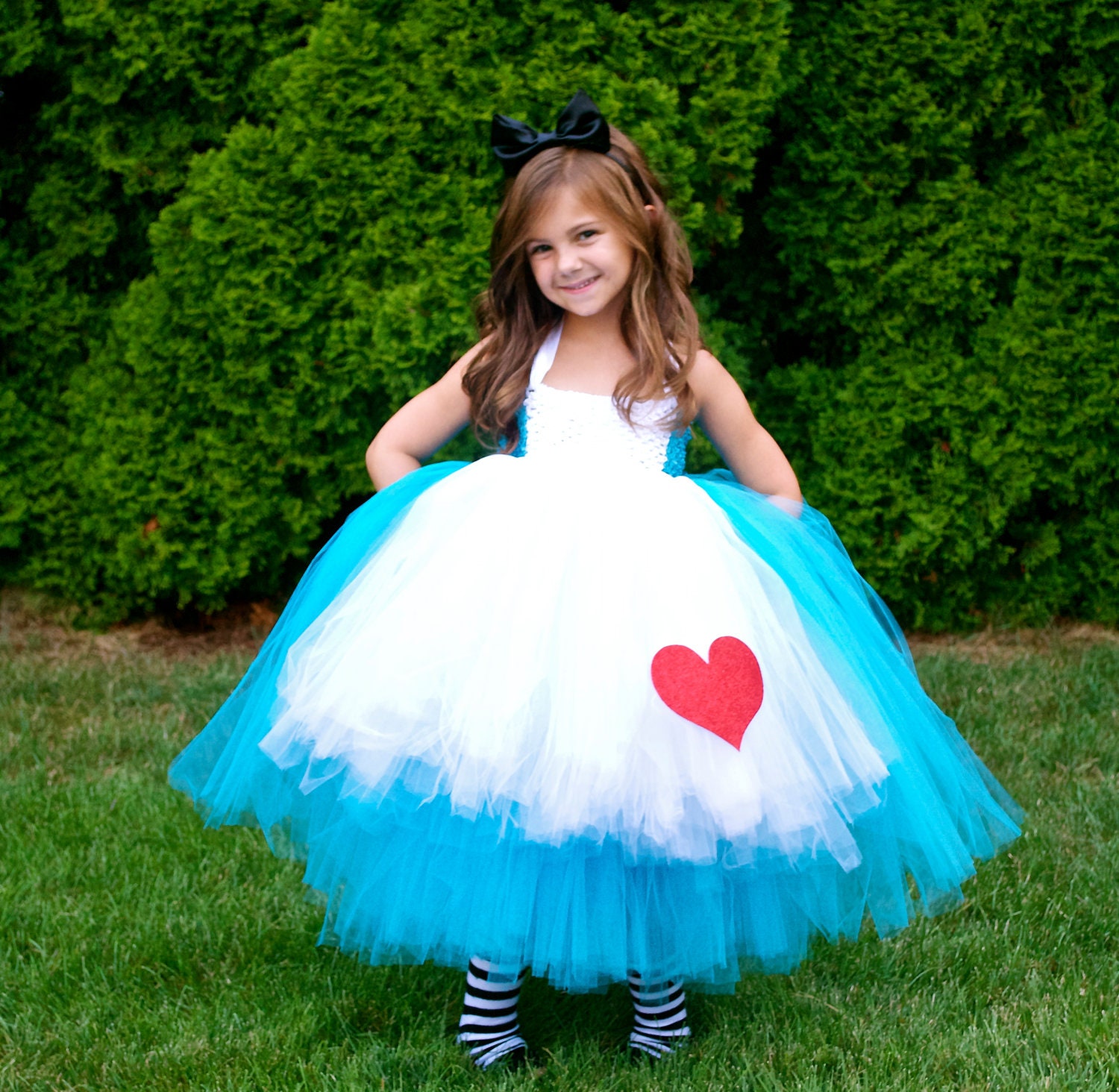Alice in Wonderland Costume Tutu Dress