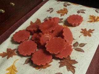 HARMONIUS FALL MEDLEY Scent, Highly Fragranced Homemade Soy Tarts/Melts