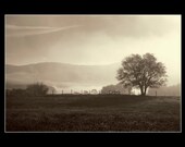 5x7 Fine Art  Foggy Landscape Print, Sepia Toning