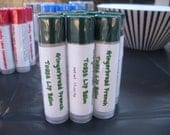 SALE - Gingerbread French Toast Lip Balm