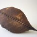 Leaf pillow