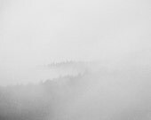 Modern Nature Fine Art Photography Print - Black and WHite Poem - Gift for Him for Her for Friend - White Morning in Black Forest