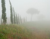 Misty Morning Photograph Fine Art Wall Decor - LeahMichelePhoto
