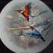 Rosenthal Sammelteller 1992 Gerhard Bluhm Juwelen der Vogelwelt Teller-Nr. 598A