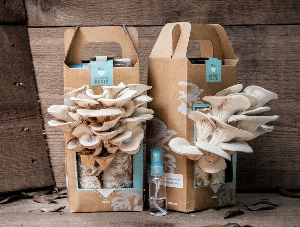 Back to the Roots Grow at Home Mushroom Garden ( Kit ) - BacktotheRootsGarden