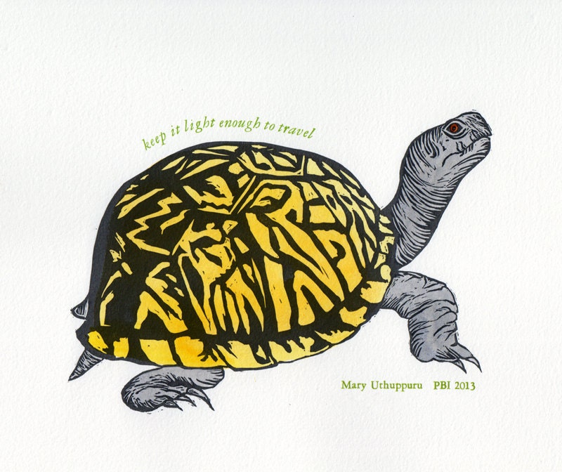 Turtle Print