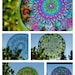 CANDY COLORED Mandala Window Decal - Tribal Inspired Geometric Art - Choose Your Design from Candy Collection