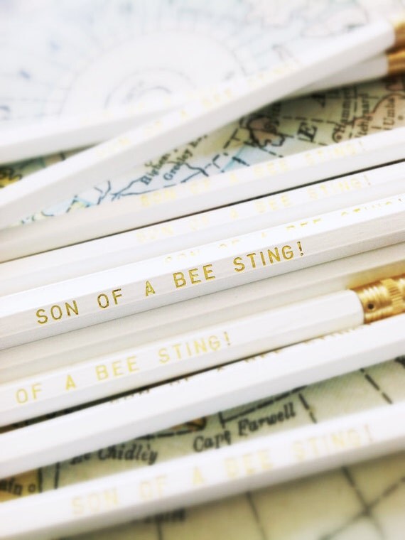 Son of a Bee Sting Will Ferrell Inspired Humorous White Pencil 6 Pack