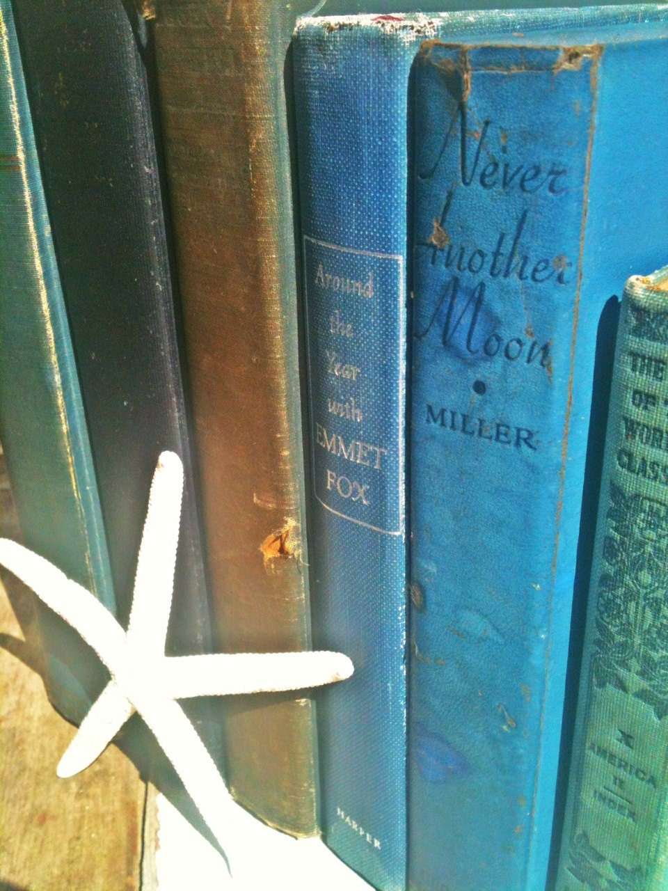 French Country,Distressed Decor, Christmas Gift,Ombre,Beach,Blue Green Books,Book Collection, Vintage,Old Books,Interior Design