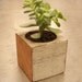Barnwood Succulent Planter