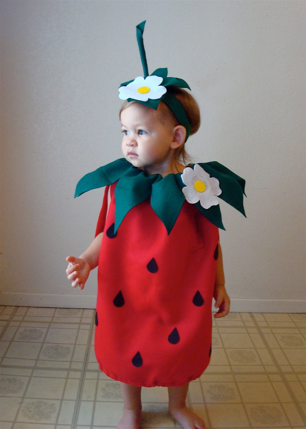 Baby Costume  Strawberry Costume  Toddler Costume  Halloween Costume