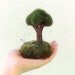 Miniature Tree Sculpture Pincushion Wool Home Decor Earthy Nature Scene Made To Order