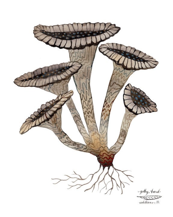 black trumpet mushrooms  giclee print reproduction watercolor - GollyBard