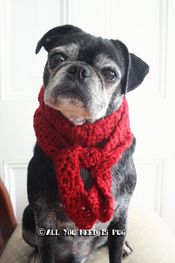 Custom Crochet Dog Scarf - For Toy and Small Dog Breeds
