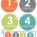 IRON ON - Decals - 12 Monthly onesie iron on heat transfers - for Baby - Modern - Gender neutral color