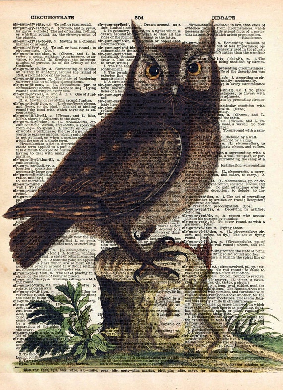 Owl Bird Art Print - Vintage Book Print - Upcycled Recycled Book Print - Natural History Bird Illustration - Woodland Animal Bird Art