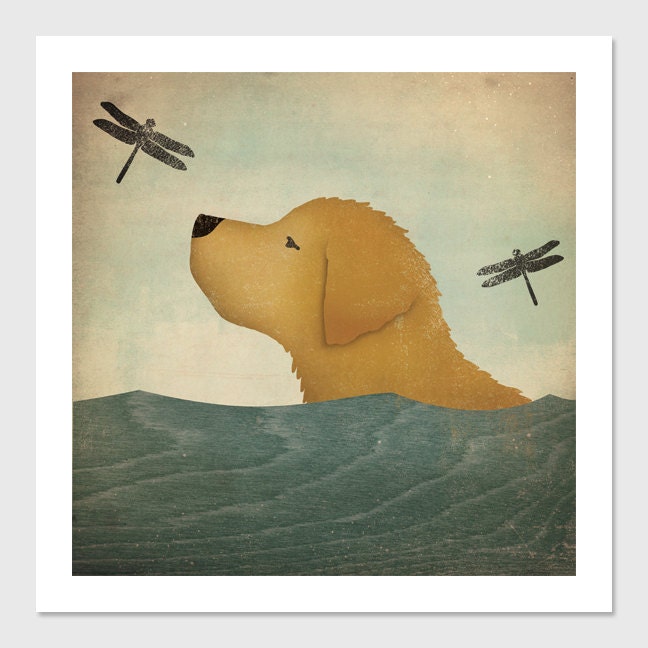 Summer Swim - Golden Retriever Dog giclee print 12x12 inch