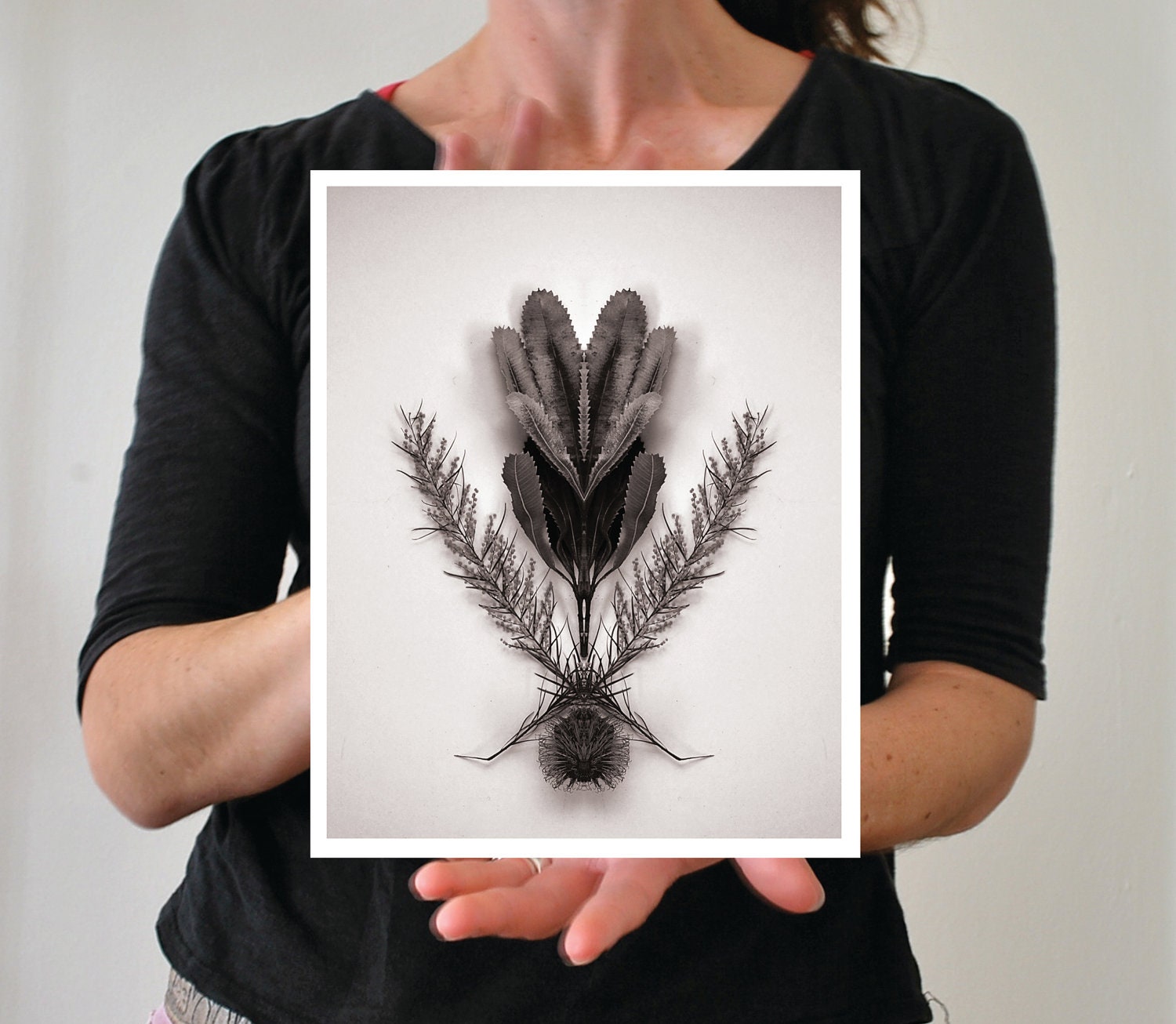 Botanical print with banksia and wattle 8x10 fine art photo