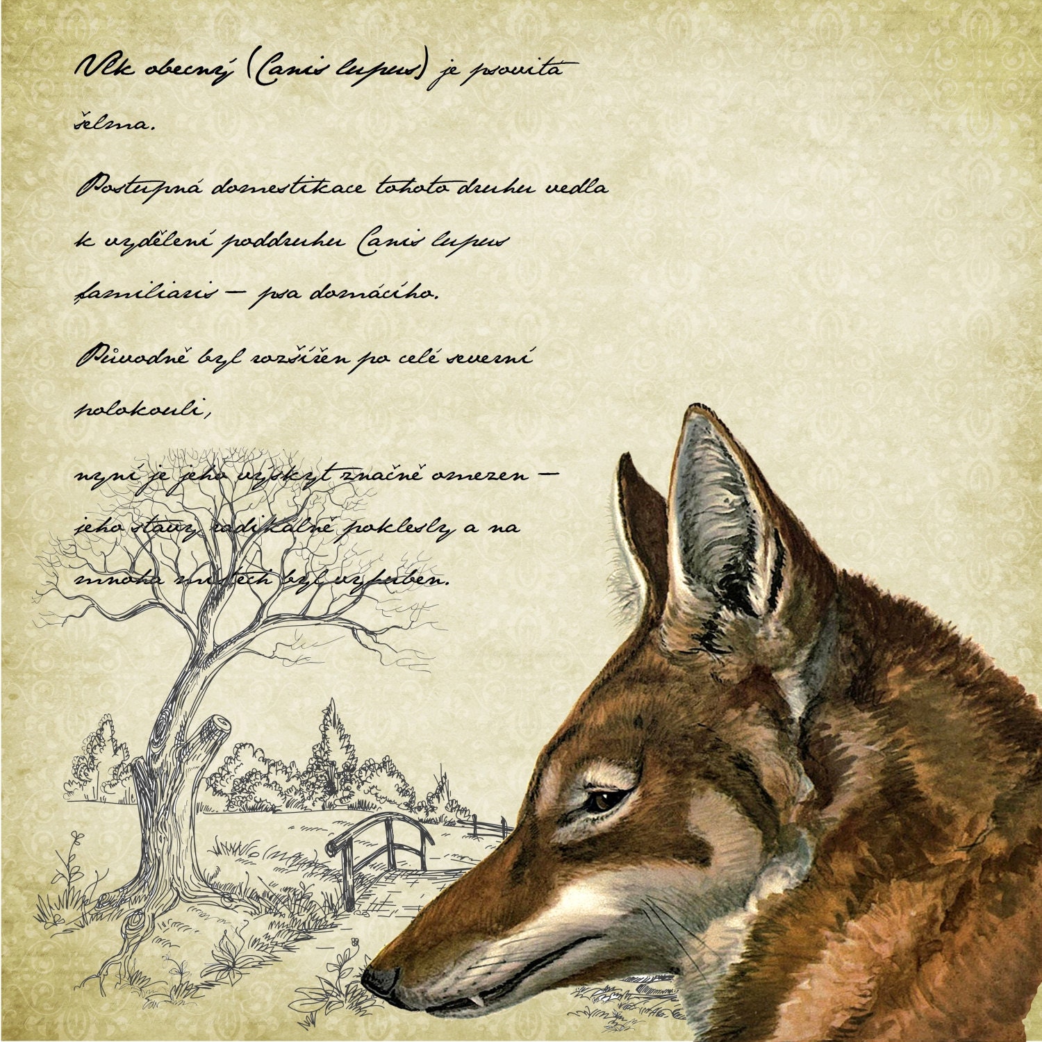 Fabric panel Wolf 18x18 inches (45x45 cm)
