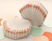 SHELL Favor Box - DIY Printable PDF Il_170x135