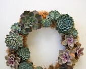 Feminine Succulent Wreath 14"