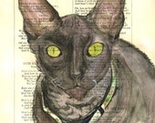 Custom Portrait of your Pet  - on antique book page 5 1/2 x9inches