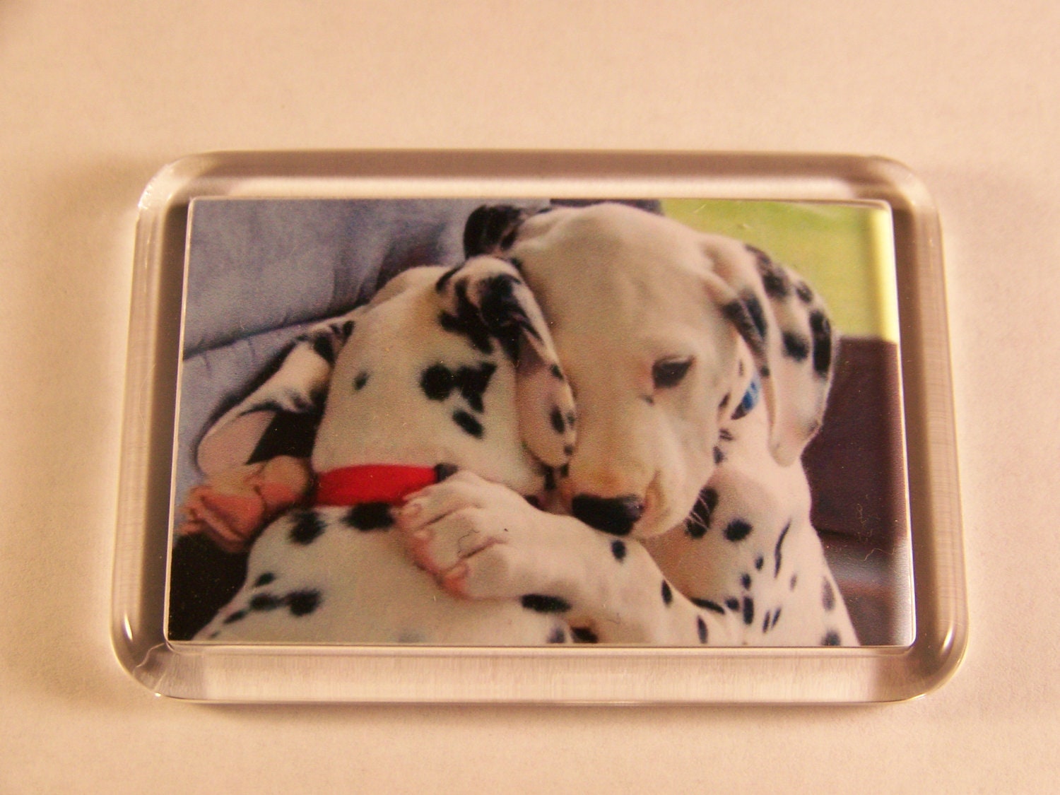 Fridge Magnet Adorable Dalmatian Puppies Hugging