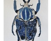 Indigo Beetle Original Watercolor Art