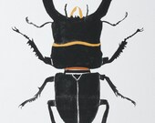 Noir Beetle No.1 Original Watercolor & Gouache by Sarah Rose Storm