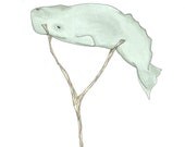 July 12, 2012 (Baby Sperm Whale) - original ink and watercolor drawing