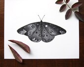 Monarch butterfly art - 8x10 print - Butterfly print