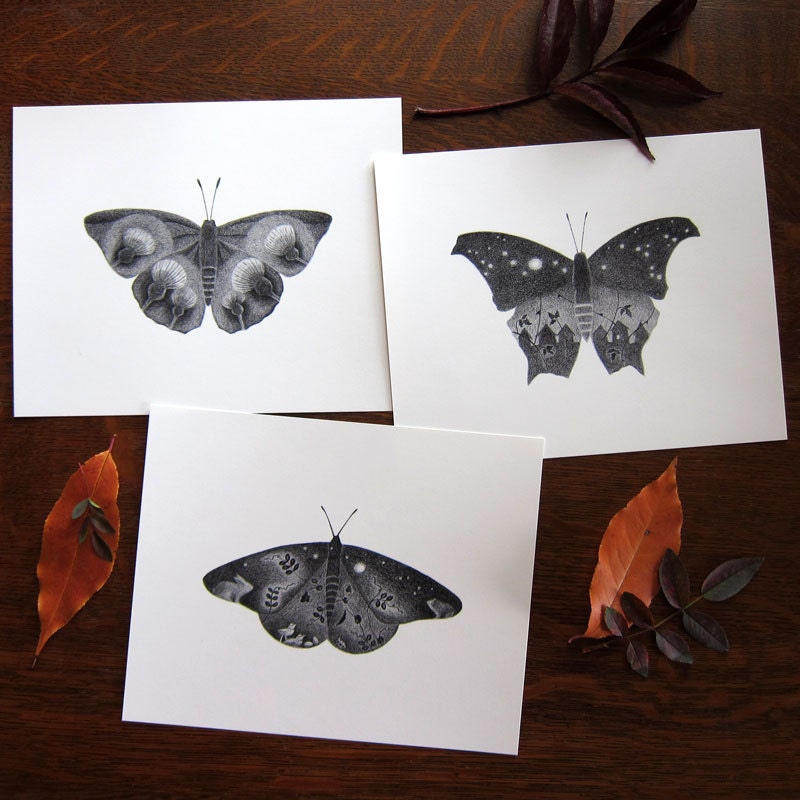Butterfly art - Wild Garden Collection - Three 8x10 fine art prints