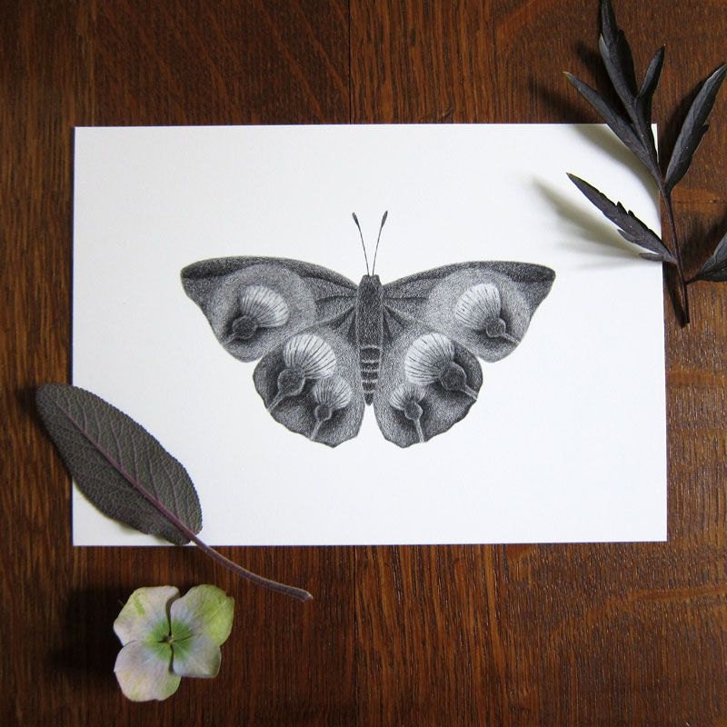 Flower wing butterfly - 5x7 print - Black and white butterfly art