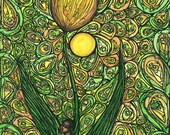 Wild Tulip - 8x10 archival giclee print