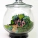 SALE Movie Miniatures: Bag End Hobbit Terrarium, Lord of the Rings