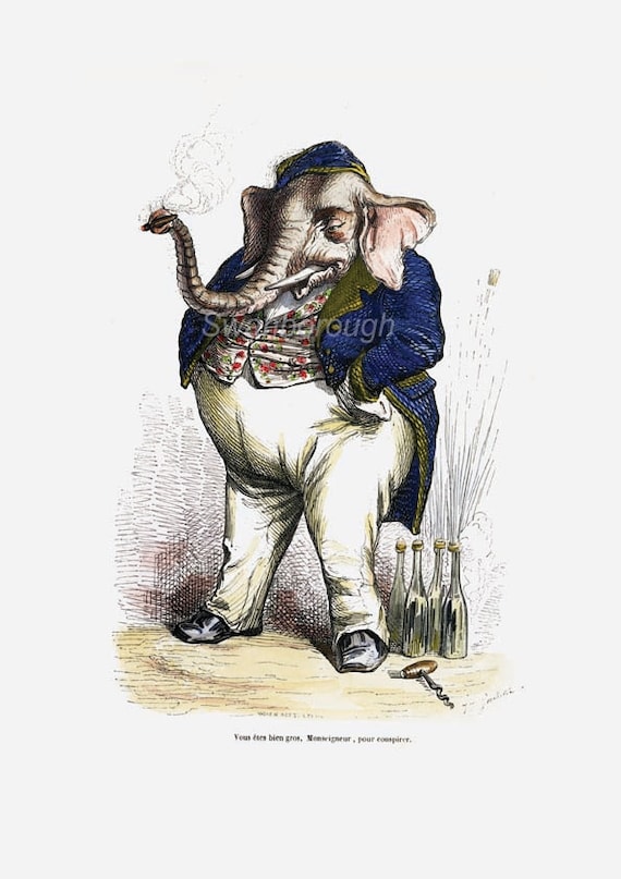 Buy good cigar gifts - Elephant Print  - The Big Boss - Jumbo - Office gift - great leaving present  - Kids room - cigar smoking boss